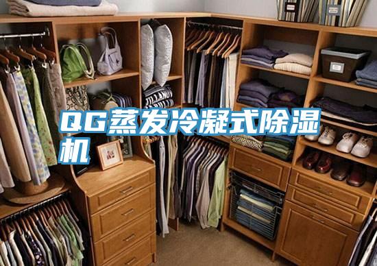 QG蒸發冷凝式好色先生在线播放