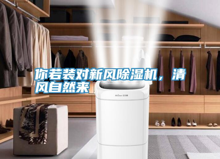 你若裝對新風好色先生在线播放，清風自然來