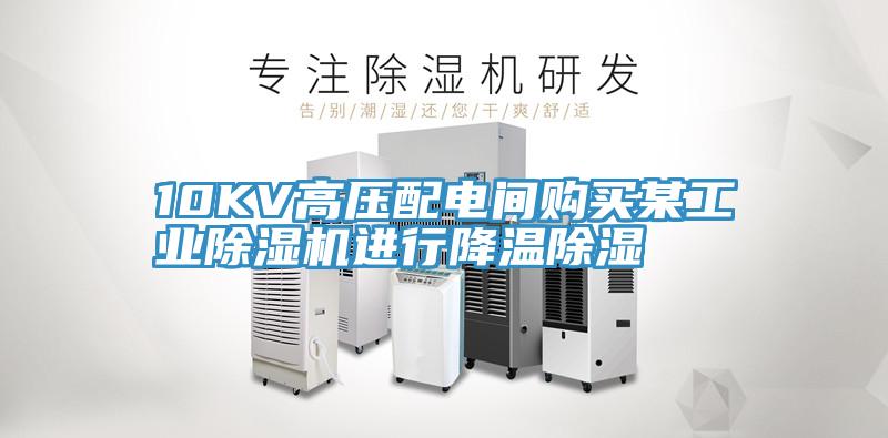 10KV高壓配電間購買某工業好色先生在线播放進行降溫除濕