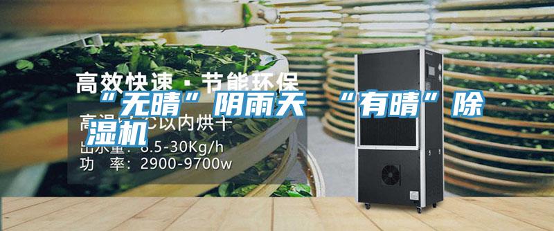 “無晴”陰雨天 “有晴”好色先生在线播放