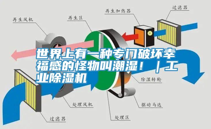 世界上有一種專門破壞幸福感的怪物叫潮濕！｜工業好色先生在线播放