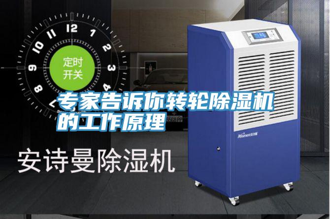 專家告訴你轉輪好色先生在线播放的工作原理