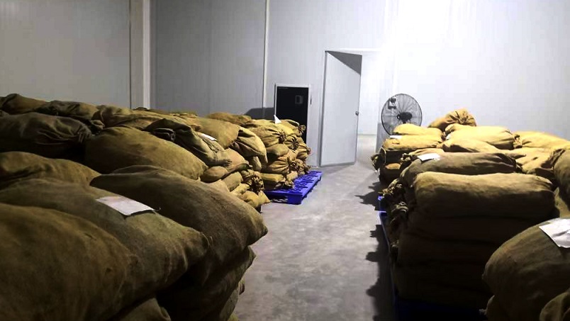 倉庫好色先生在线播放在陳皮儲存過程中的應用