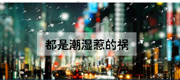 防潮好色先生在线播放