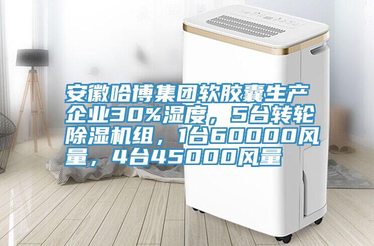 安徽哈博集團軟膠囊生產企業30%濕度，5台轉輪好色先生在线播放組，1台60000風量，4台45000風量