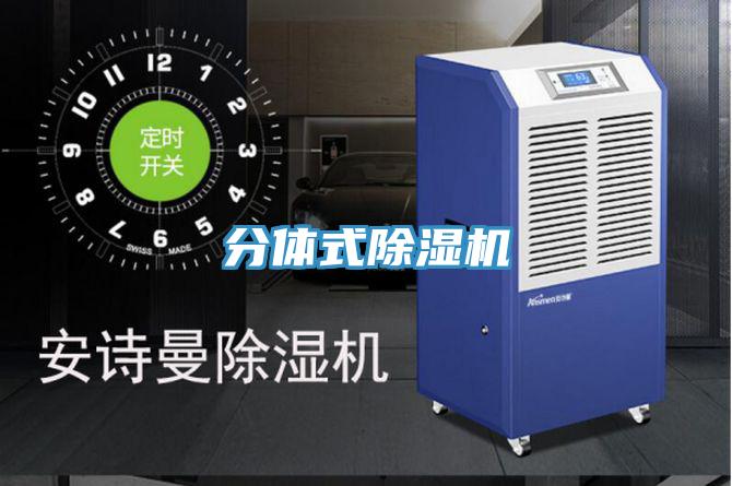 分體式好色先生在线播放