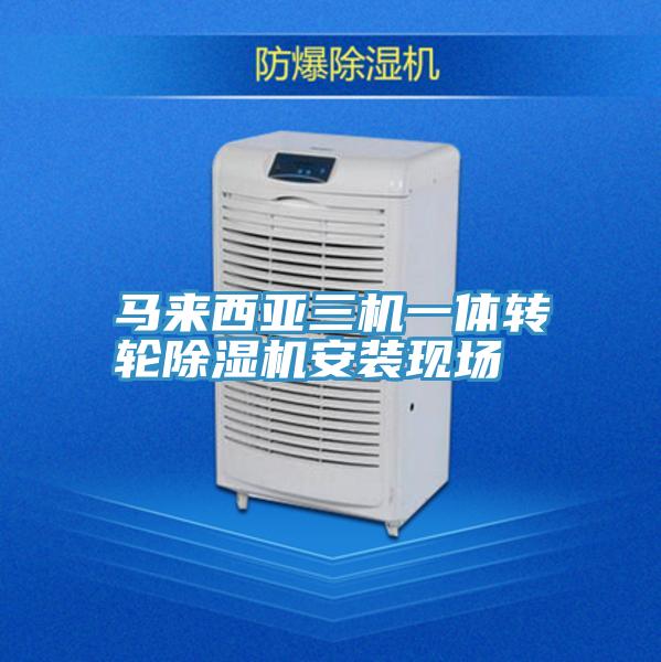 馬來西亞三機一體轉輪好色先生在线播放安裝現場