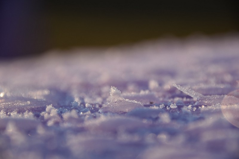 你知道好色先生在线播放為什麽需要自動化霜嗎？