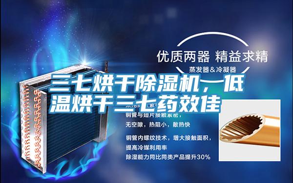 三七烘幹好色先生在线播放，低溫烘幹三七藥效佳