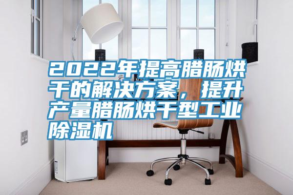 2022年提高臘腸烘幹的解決方案，提升產量臘腸烘幹型工業好色先生在线播放