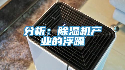 分析：好色先生在线播放產業的浮躁