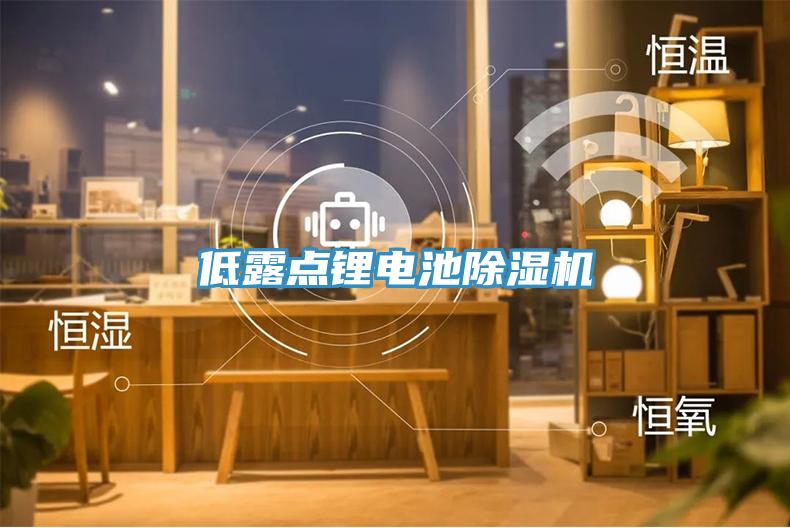 低露點鋰電池好色先生在线播放