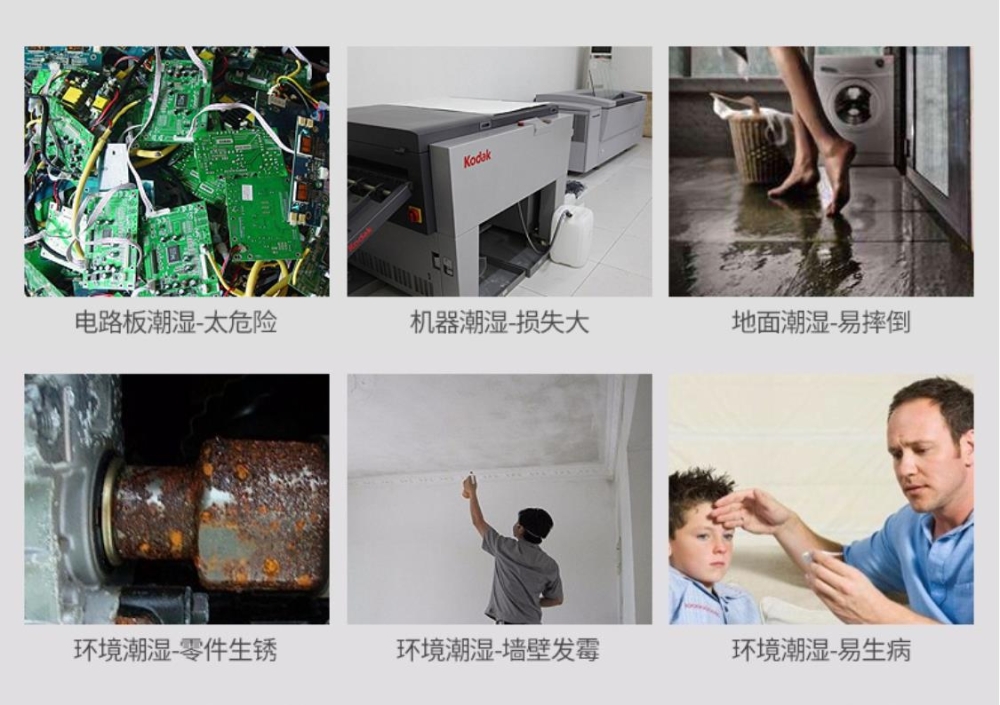 智能好色先生在线播放