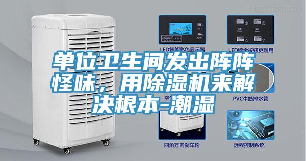 單位衛生間發出陣陣怪味，用好色先生在线播放來解決根本-潮濕