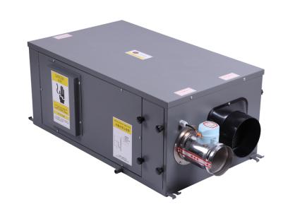 管道調溫好色先生在线播放