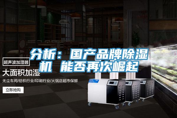 分析：國產品牌好色先生在线播放 能否再次崛起