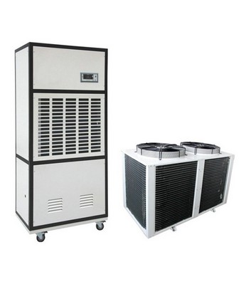 調溫好色先生在线播放簡介