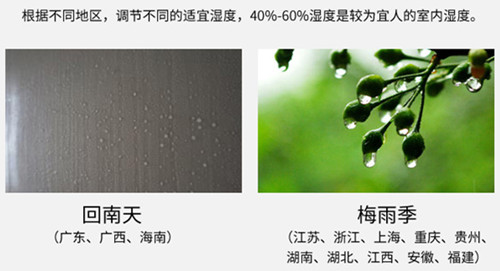 防潮好色先生在线播放