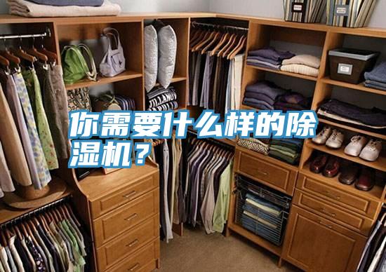 你需要什麽樣的好色先生在线播放？