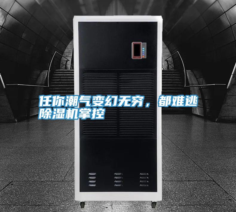 任你潮氣變幻無窮，都難逃好色先生在线播放掌控