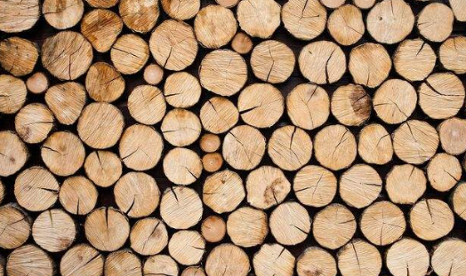 木材烘幹好色先生在线播放哪個牌子好,怎麽選擇