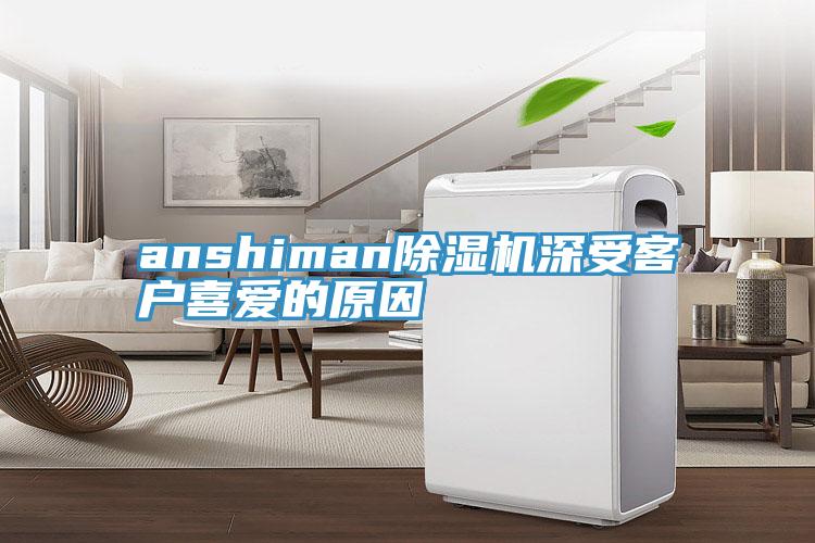 anshiman好色先生在线播放深受客戶喜愛的原因