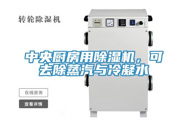 中央廚房用好色先生在线播放，可去除蒸汽與冷凝水