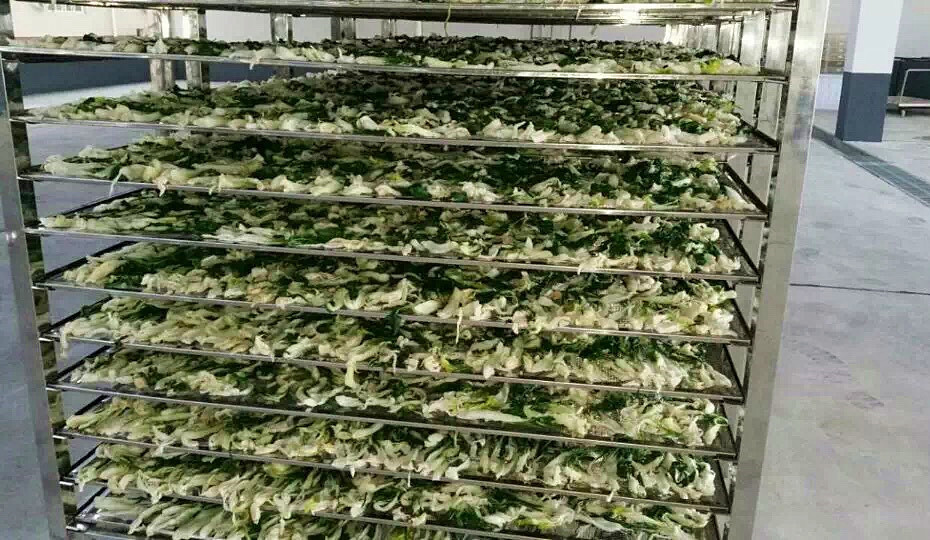 菜幹需求一直都很大，蔬菜烘幹機很有市場
