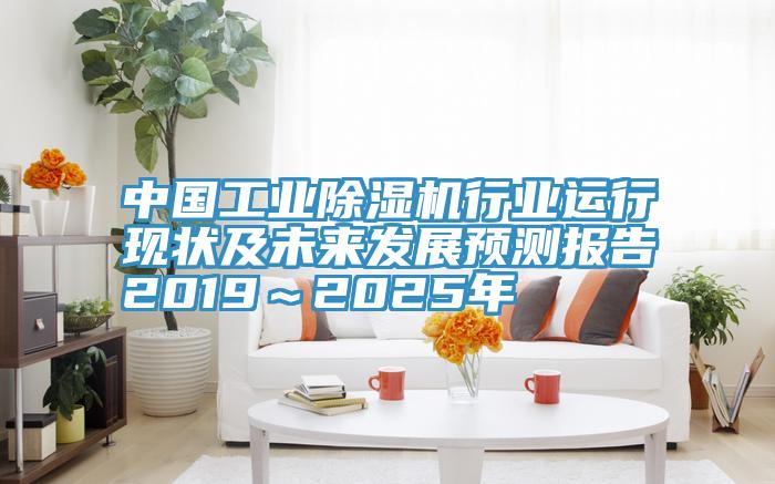中國工業好色先生在线播放行業運行現狀及未來發展預測報告2019～2025年