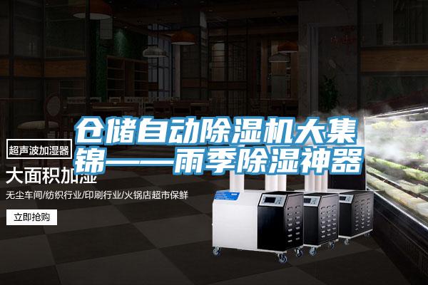 倉儲自動好色先生在线播放大集錦——雨季除濕神器