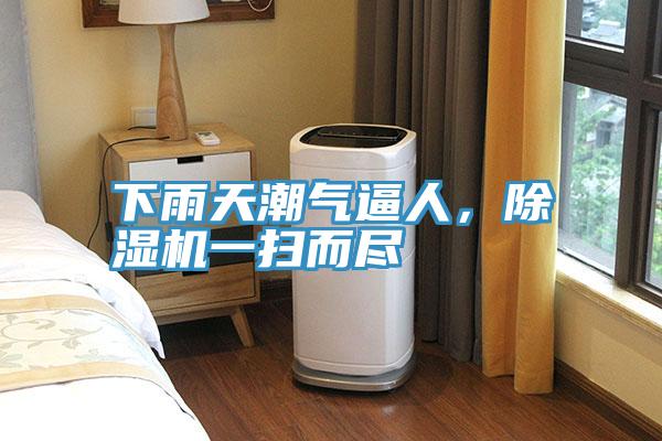 下雨天潮氣逼人，好色先生在线播放一掃而盡