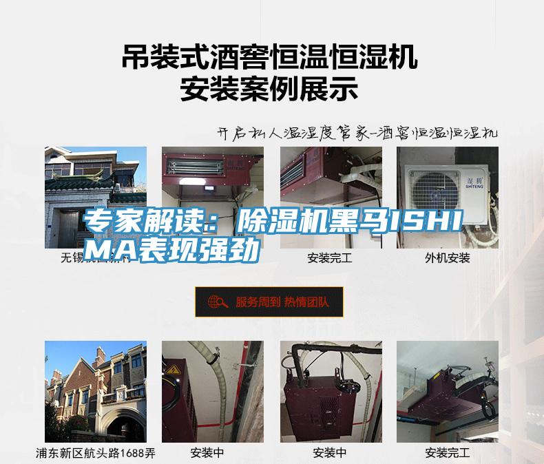 專家解讀：好色先生在线播放黑馬ISHIMA表現強勁