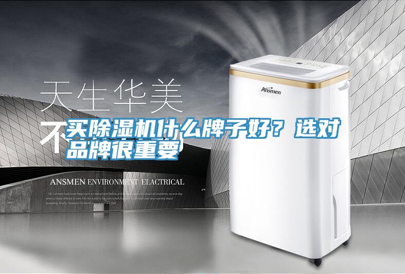 買好色先生在线播放什麽牌子好？選對品牌很重要