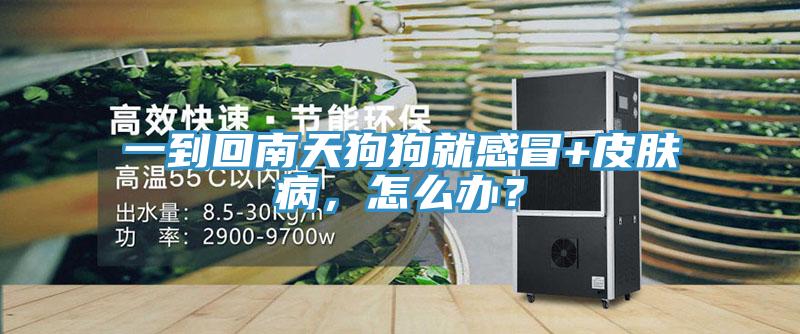 一到回南天狗狗就感冒+皮膚病，怎麽辦？