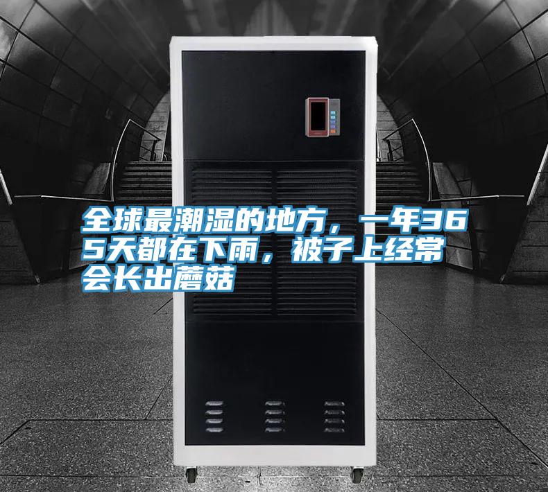 全球最潮濕的地方，一年365天都在下雨，被子上經常會長出蘑菇