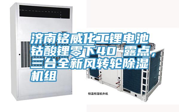 濟南銘威化工鋰電池鈷酸鋰零下40℃露點，三台全新風轉輪好色先生在线播放組