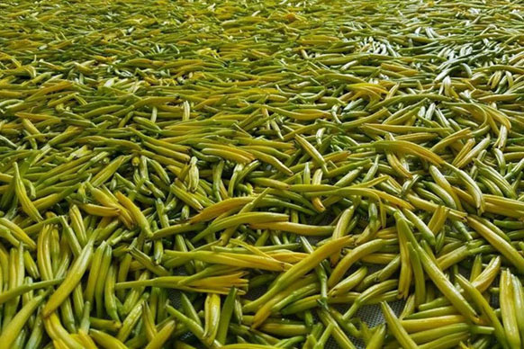 無硫金針菜烘幹如何保持品相?不發黑?_好色先生在线播放廠家