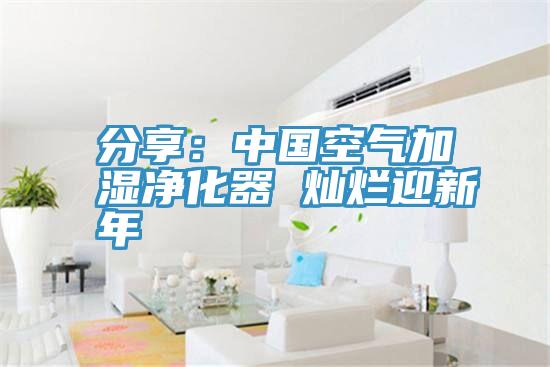 分享：中國空氣加濕淨化器 燦爛迎新年