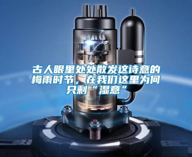 古人眼裏處處散發這詩意的梅雨時節，在好色先生TVAPP這裏為何隻剩“濕意”