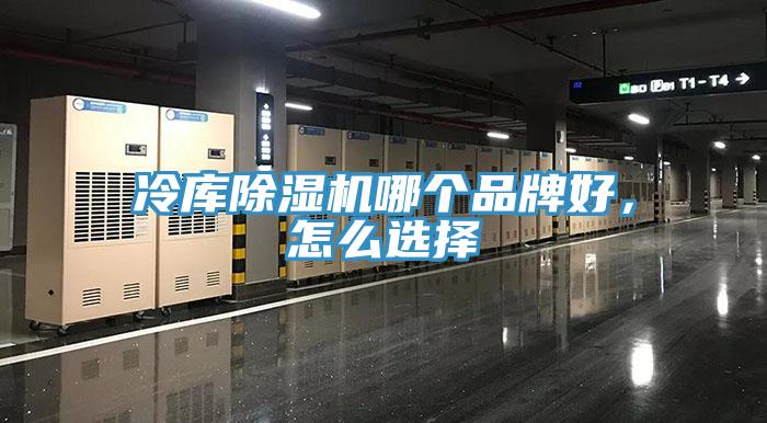 冷庫好色先生在线播放哪個品牌好，怎麽選擇