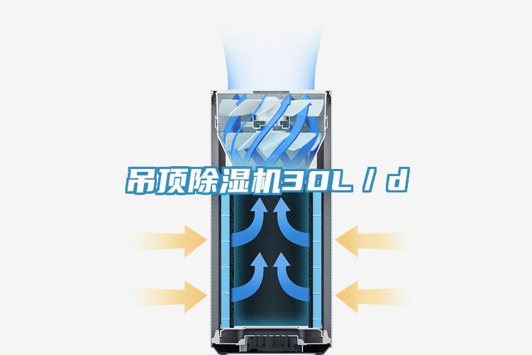 吊頂好色先生在线播放30L／d