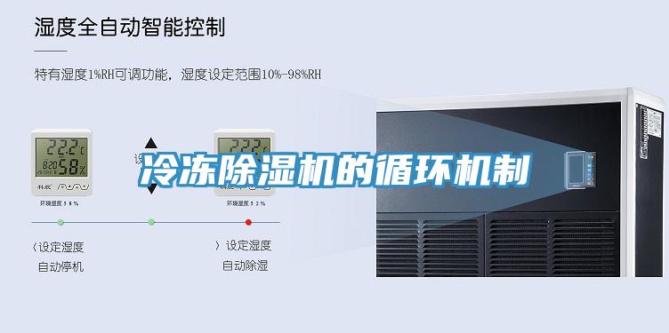 冷凍好色先生在线播放的循環機製