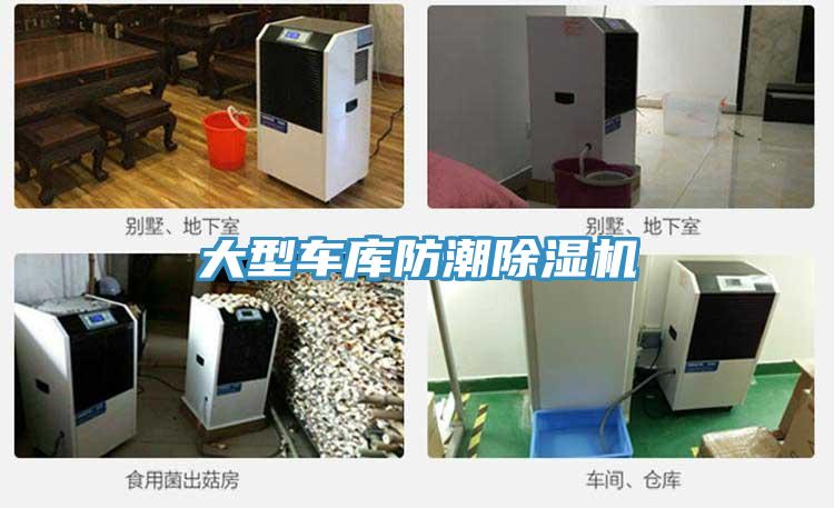 大型車庫防潮好色先生在线播放