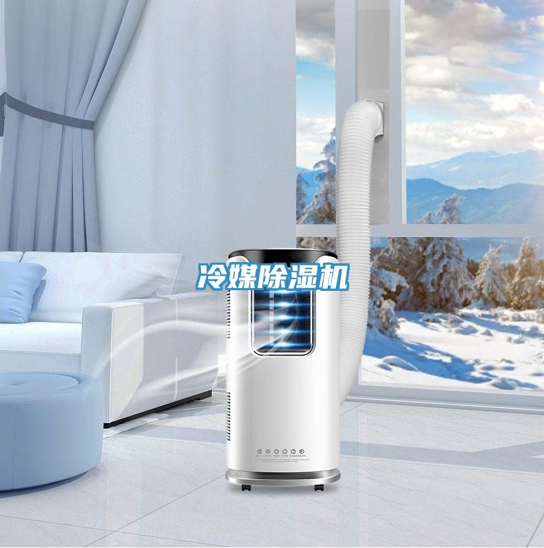 冷媒好色先生在线播放