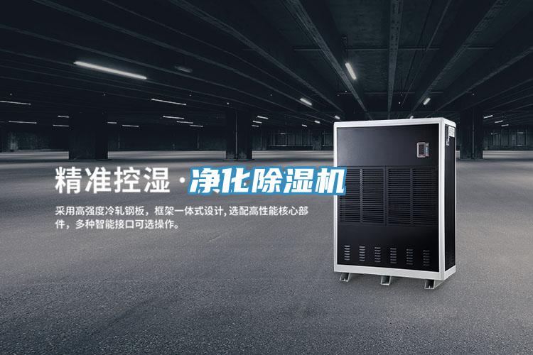 淨化好色先生在线播放