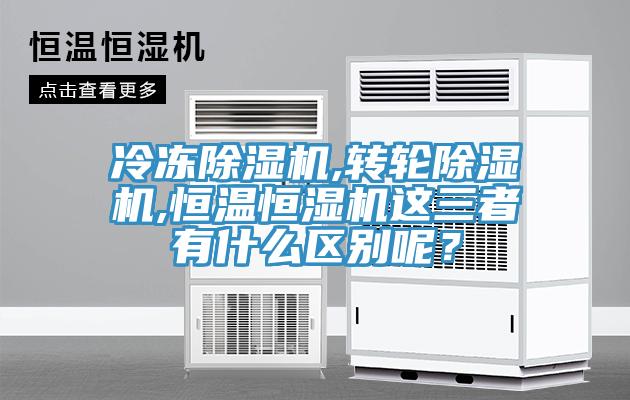 冷凍好色先生在线播放,轉輪好色先生在线播放,恒溫恒濕機這三者有什麽區別呢？