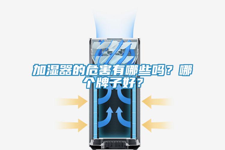 加濕器的危害有哪些嗎?哪個牌子好?