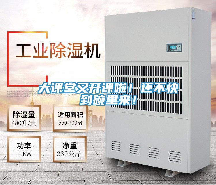 大課堂又開課啦！還不快到碗裏來！