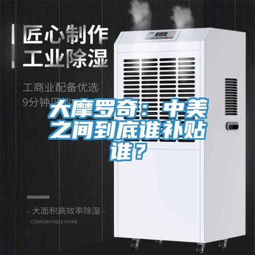 大摩羅奇：中美之間到底誰補貼誰？