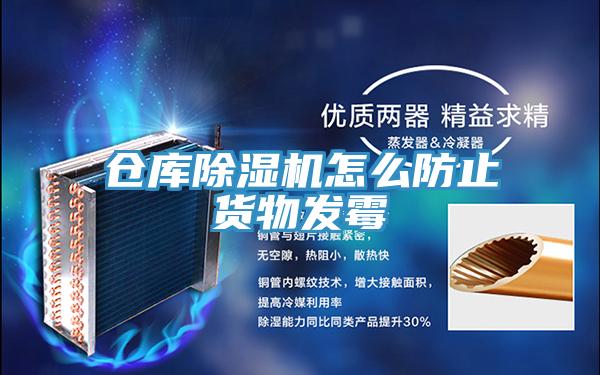 倉庫好色先生在线播放怎麽防止貨物發黴